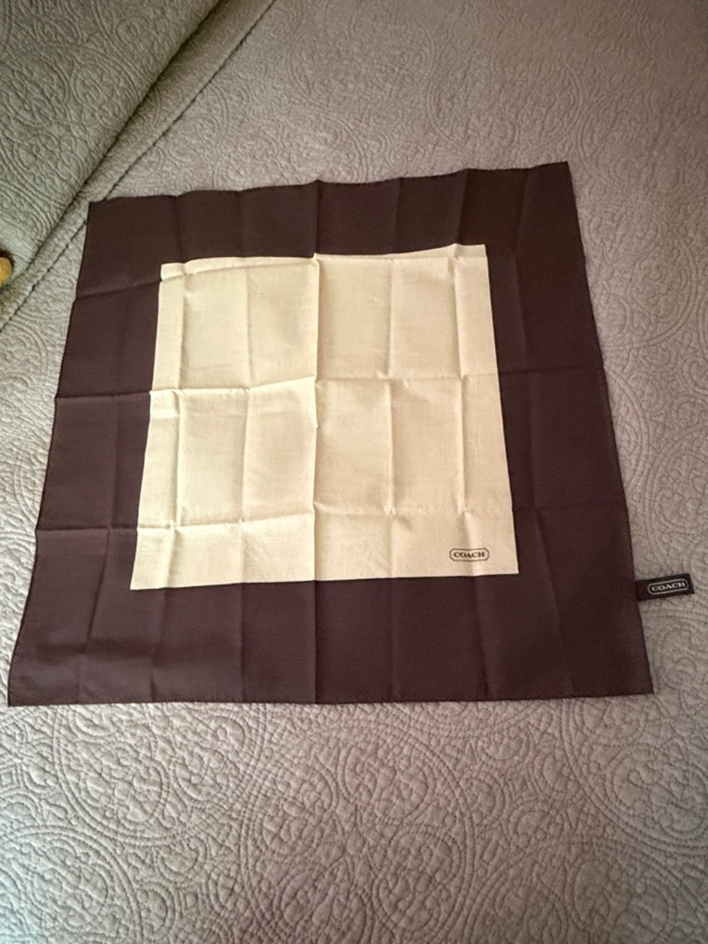 Vintage Coach Scarf